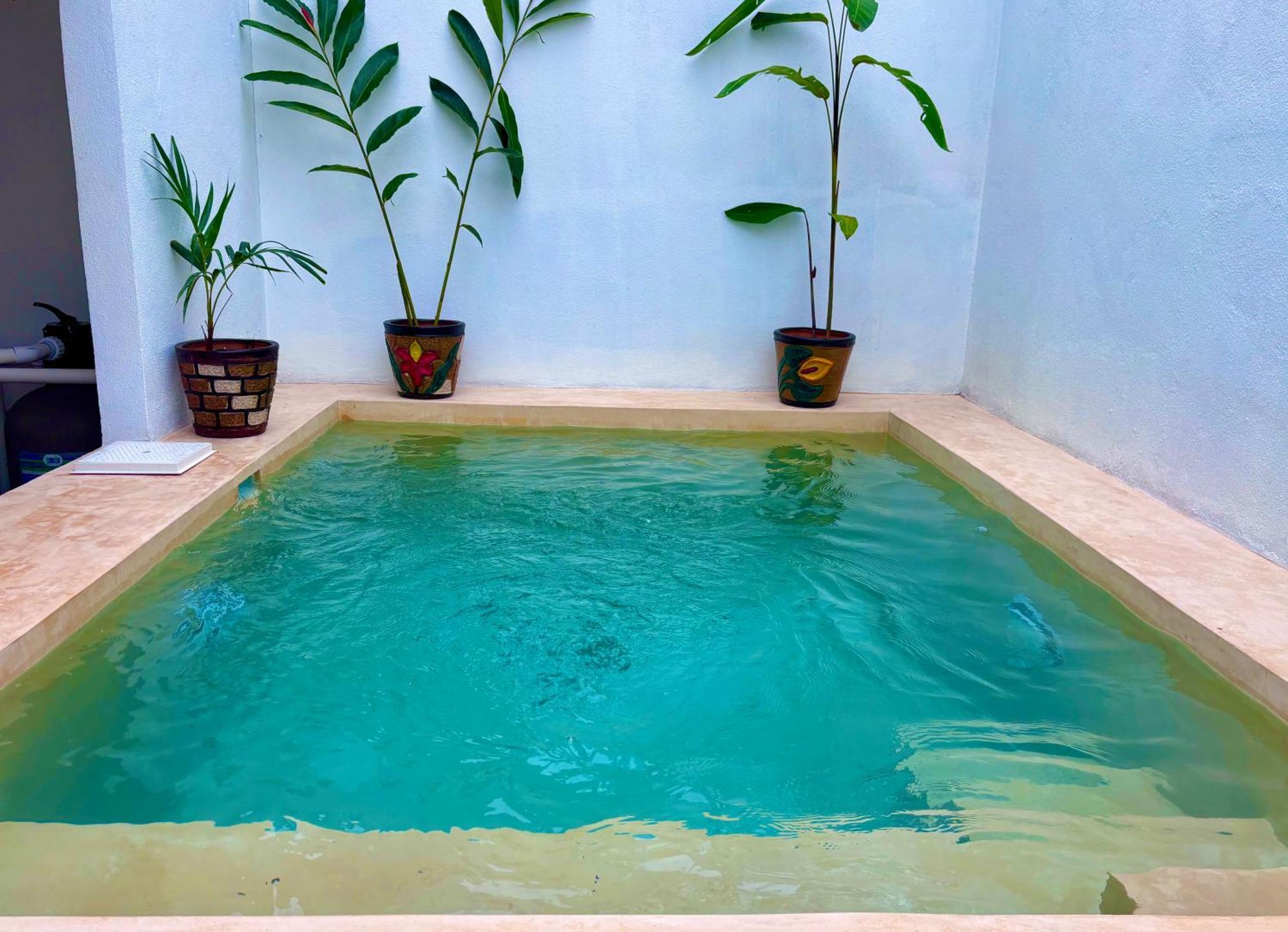Willa Excelente Alberca Privada En Residencial Privado, Gym, Asador Ciudad Valles Zewnętrze zdjęcie