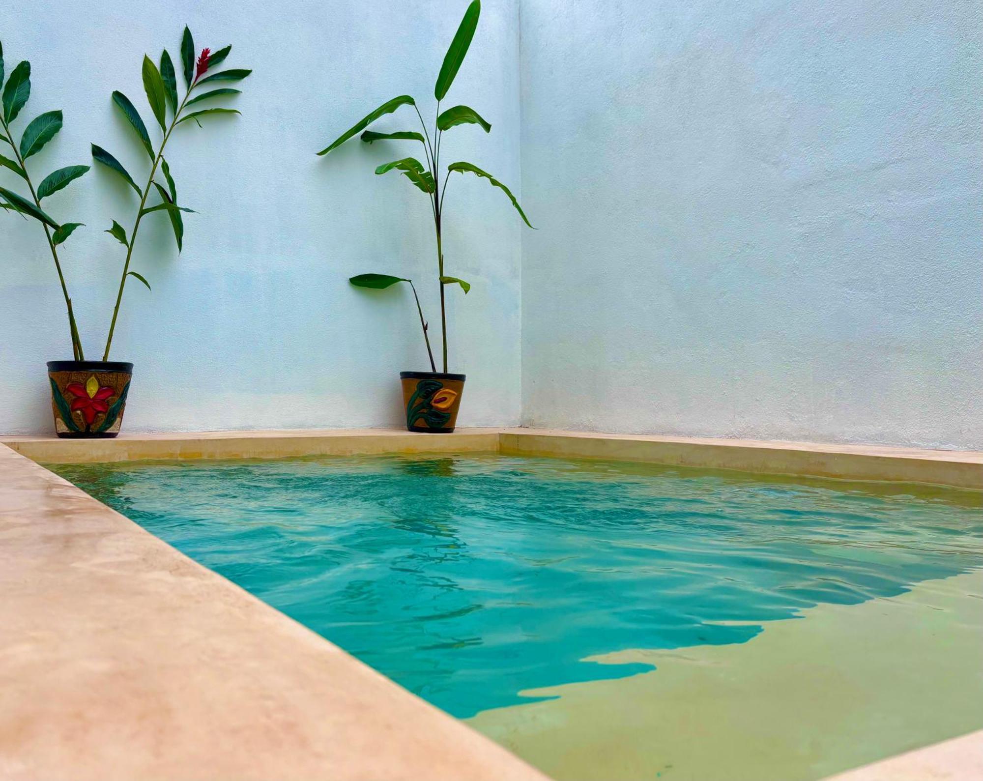 Willa Excelente Alberca Privada En Residencial Privado, Gym, Asador Ciudad Valles Zewnętrze zdjęcie